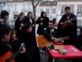 /album/galeria-de-fotos-fot-a-martuna3/sdc10804-copia-jpg/
